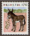vedi quartina