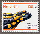 vedi quartina