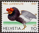 vedi quartina